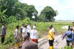 Pemkot Makassar siapkan Rp4 miliar bangun jalan di Romang Tangayya perbatasan Gowa-Maros