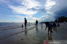 BMKG: Waspadai pasang laut 2,5-2,8 meter di pesisir Kaltim