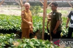 Pemkab Pohuwato dukung Program Kakao Burung Indonesia