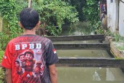 BPBD Pangkalpinang waspadai pasang air laut 2,8 meter