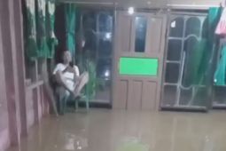 Banjir rob rendam wilayah pesisir Pulang Pisau