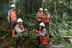PT Vale: Dari Matano hingga Pomalaa, jejak keberlanjutan yang menyatu dengan Alam dan Manusia