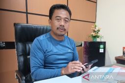 Bulog Papua tingkatkan jumlah pembelian beras petani jadi 20 ribu ton