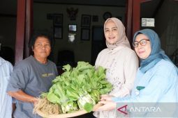 TP PKK Babel panen perdana digital farming dan salurkan hasil ke dua panti sosial