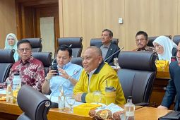 Anggota DPR minta pemerintah percepat eksekusi transisi energi