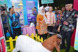 Disparekraf catat potensi perputaran ekonomi Lampung Festival Rp50 miliar