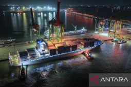 Terminal Teluk Lamong catat arus peti kemas naik 6,5 persen