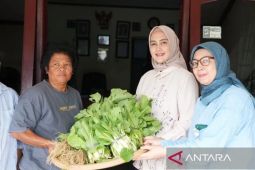 TP PKK Babel kembangkan kebun digital