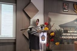 Luas perkebunan lada Babel tersisa 36.595 hektare