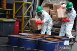 Ancaman radiasi! Barantin musnahkan udang tercemar Cs-137 jaga kesehatan publik