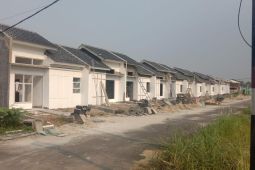 Apersi usul kebijakan pengendalian lahan sawah dilindungi dipercepat