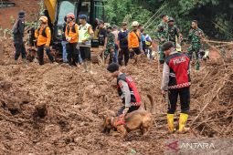 Jumlah korban meninggal akibat longsor Cilacap 13 orang