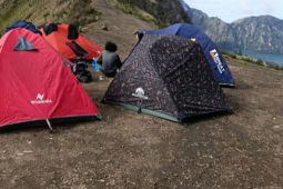 PNPB dari Gunung Rinjani mencapai Rp21 miliar