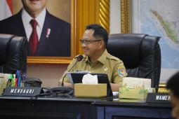 Mendagri ingatkan Pemda harus lindungi persawahan demi ketahanan pangan