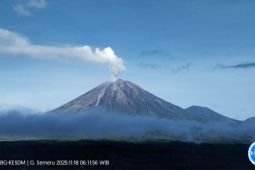 Mount Semeru erupts, ash column reaches 800 meters