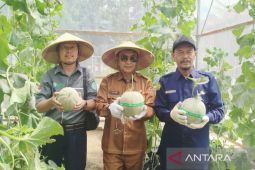 Gapki gelar Soswit di SMKN 1 Pangkalan Banteng