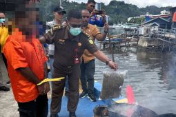 Ditpolair Polda Papua musnahkan barang bukti 14,7 kilogram ganja milik enam tersangka