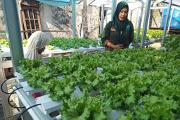 Dinkes Balikpapan luncurkan Program Gempur Stunting, fokus gizi anak