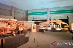 Serunya menyaksikan sejarah hewan purba di Science Centre Singapore