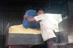 Pemintaan tempe di Aceh meningkat karena program MBG