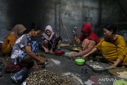KUR bunga 6 persen dan masa depan pengusaha muda Indonesia