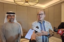 Menteri Investasi bahas potensi investasi alumina dengan UEA