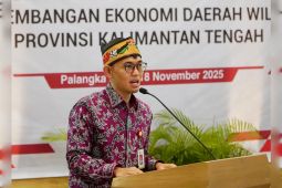 OJK dan TPAKD Se-Kalteng perkuat sinergi wujudkan ekonomi daerah inklusif