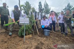 Menhut sebar pohon untuk ditanam di daerah hulu sungai