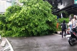 Sebagian Jakarta diperkirakan hujan pada Kamis