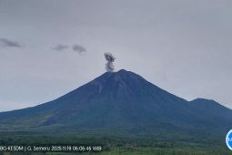 Semeru kembali alami erupsi tiga kali dengan tinggi letusan 600 meter