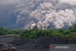Lumajang terbitkan surat edaran tanggap darurat erupsi Gunung Semeru