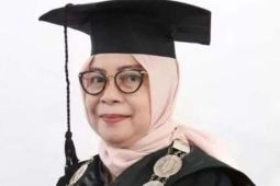 Akademisi UBB soroti wacana pengurangan dana desa