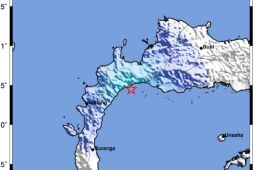 Gempa tektonik magnitudo 4,5 guncang Kabupaten Parigi Moutong