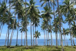 Kemenkum petakan potensi Indikasi Geografis Maluku Utara