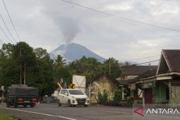 BPBD Lumajang siaga pastikan keselamatan warga terdampak Semeru