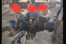 Tiga anak ditangkap diduga pelaku pembacokan di Jakut