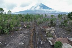 Lawmaker urges protection for residents after Semeru eruption