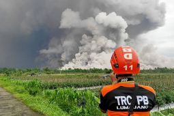 Pemkab Lumajang pastikan jaringan internet aman untuk mitigasi Semeru