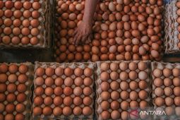 Harga cabai rawit Rp80.800 per kg, telur ayam ras Rp32.650 per kg