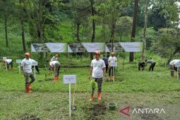 BNPB minimalkan dampak bencana melalui penanaman vegetasi
