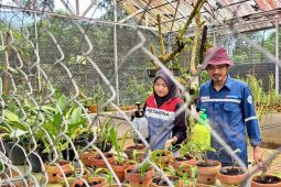 Pertamina Sumbagsel perkuat konservasi 18 anggrek di Kebun Raya Tuatunu