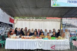 DPK Bangka Barat memperkuat jaringan perpustakaan desa