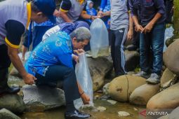 Wali Kota Bogor tebar ikan di aliran Sungai Ciliwung peringati Harkannas