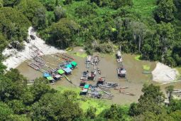 Kemenhut jerat pidana penjara bagi 12 pelaku PETI di TN Tanjung Puting