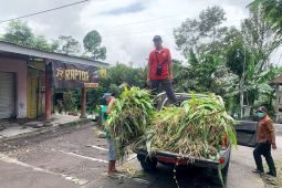 Lumajang siapkan bantuan pakan ternak di masa darurat Semeru