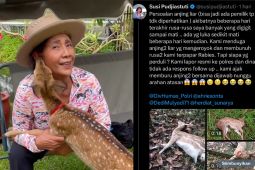 Rusa Susi Pudjiastuti terancam hewan liar, begini ceritanya!