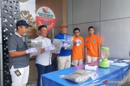 BNNP NTB musnahkan ganja 1,9 kilogram dari kasus di Pulau Sumbawa