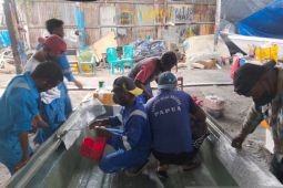 Pelatihan bangun perahu fiber dorong OAP di Jayapura berwirausaha