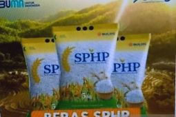 Pemkab Biak terus jaga stabilitas harga jelang Natal