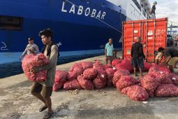Kanwil Bea Cukai dan KSOP Ambon bersinergi perketat pengawasan arus barang di pelabuhan